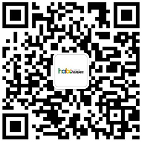 扫描++/加微信； 承德娱乐与游戏, 承德娱乐与游戏，网站建设